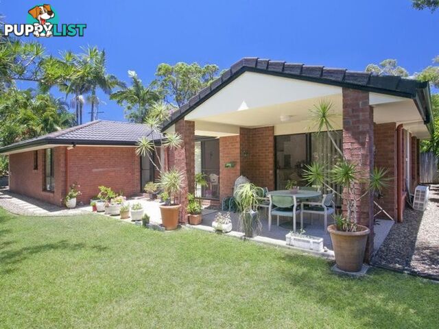 15 Paul Street NOOSA HEADS QLD 4567