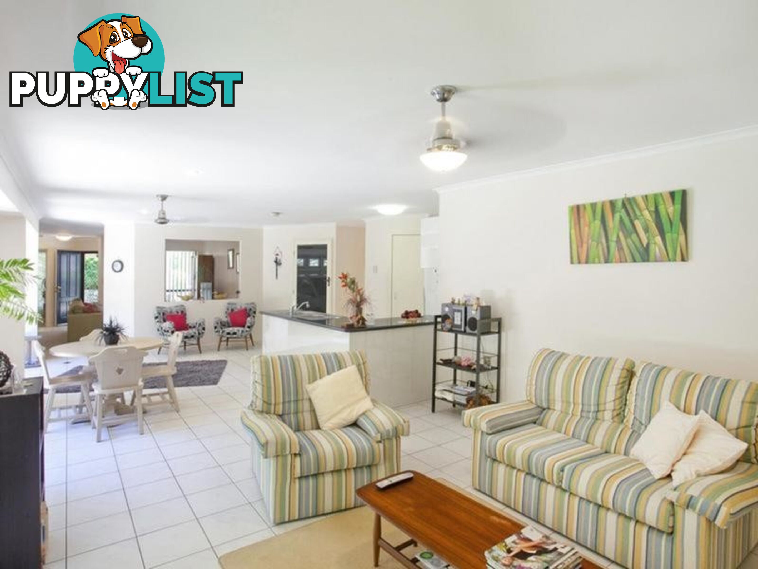 15 Paul Street NOOSA HEADS QLD 4567