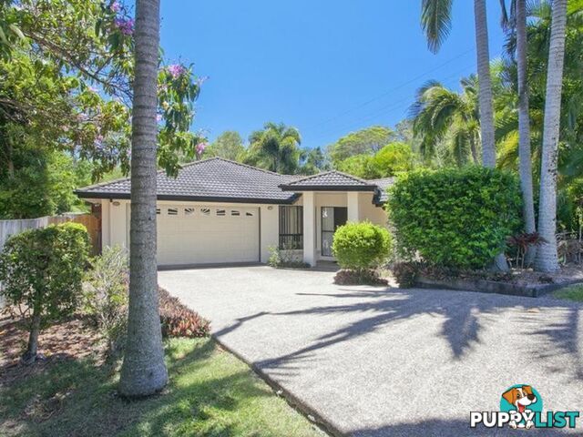 15 Paul Street NOOSA HEADS QLD 4567