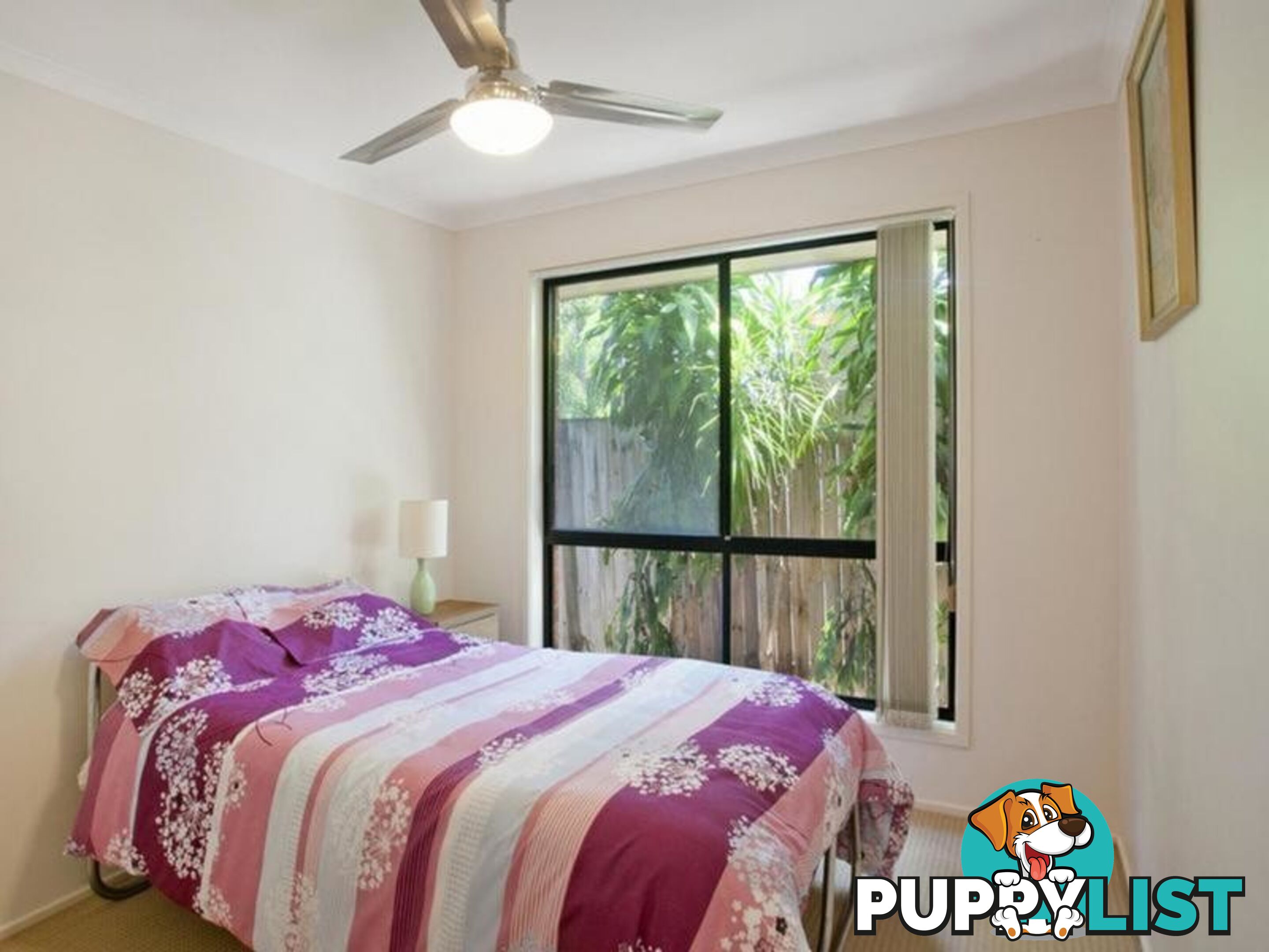 15 Paul Street NOOSA HEADS QLD 4567