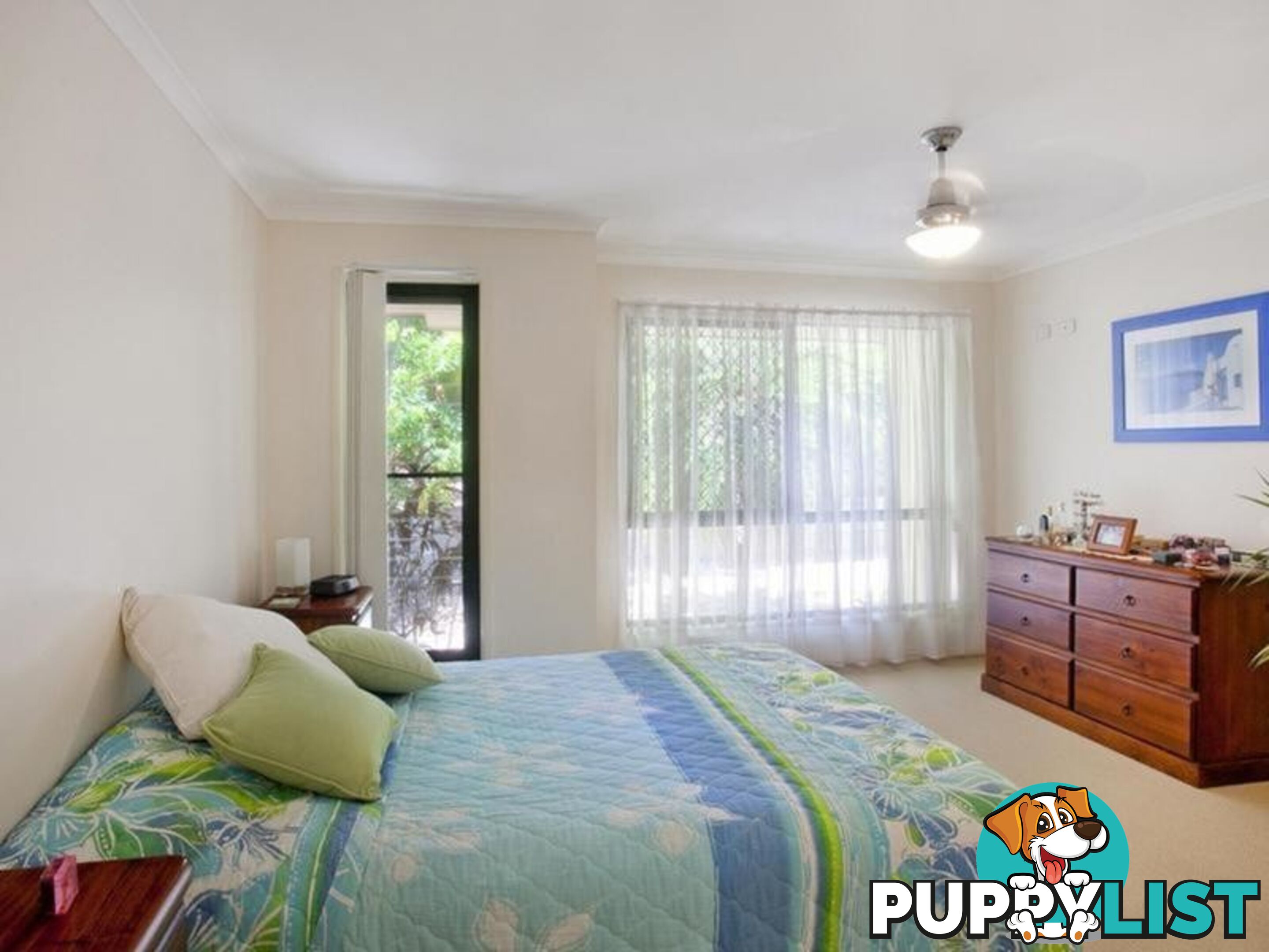 15 Paul Street NOOSA HEADS QLD 4567