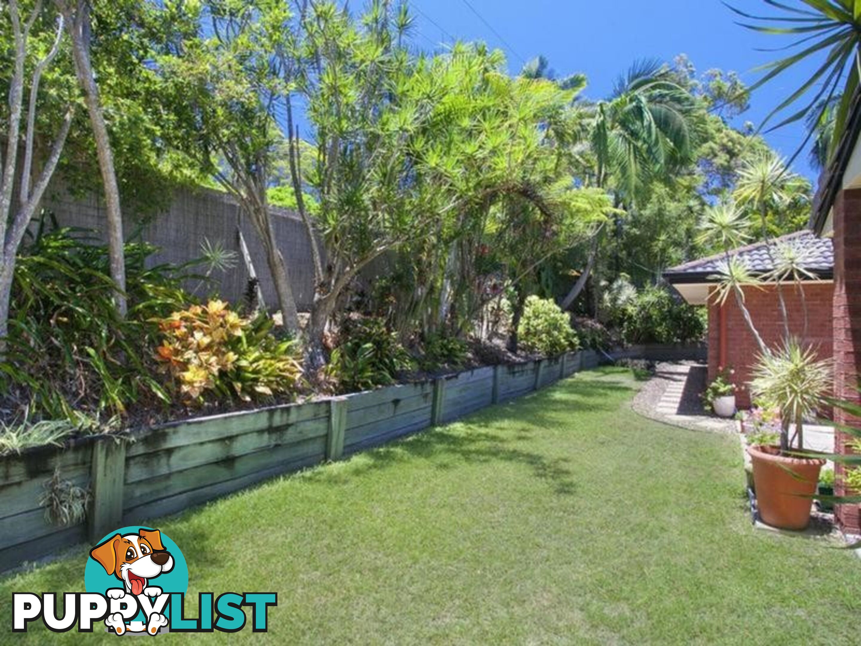 15 Paul Street NOOSA HEADS QLD 4567