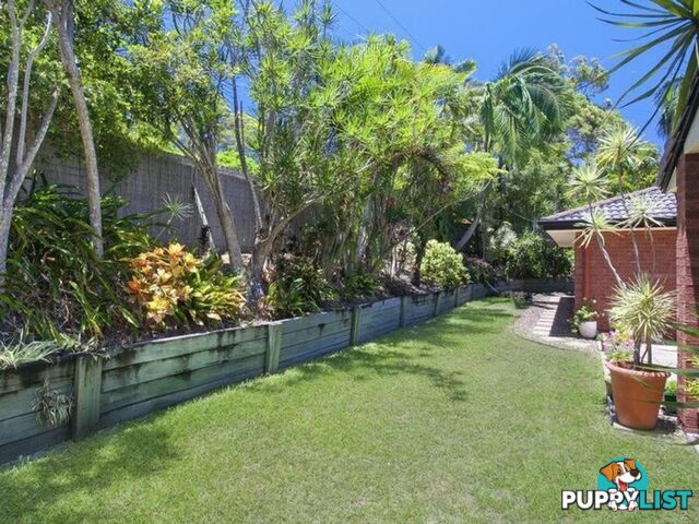 15 Paul Street NOOSA HEADS QLD 4567