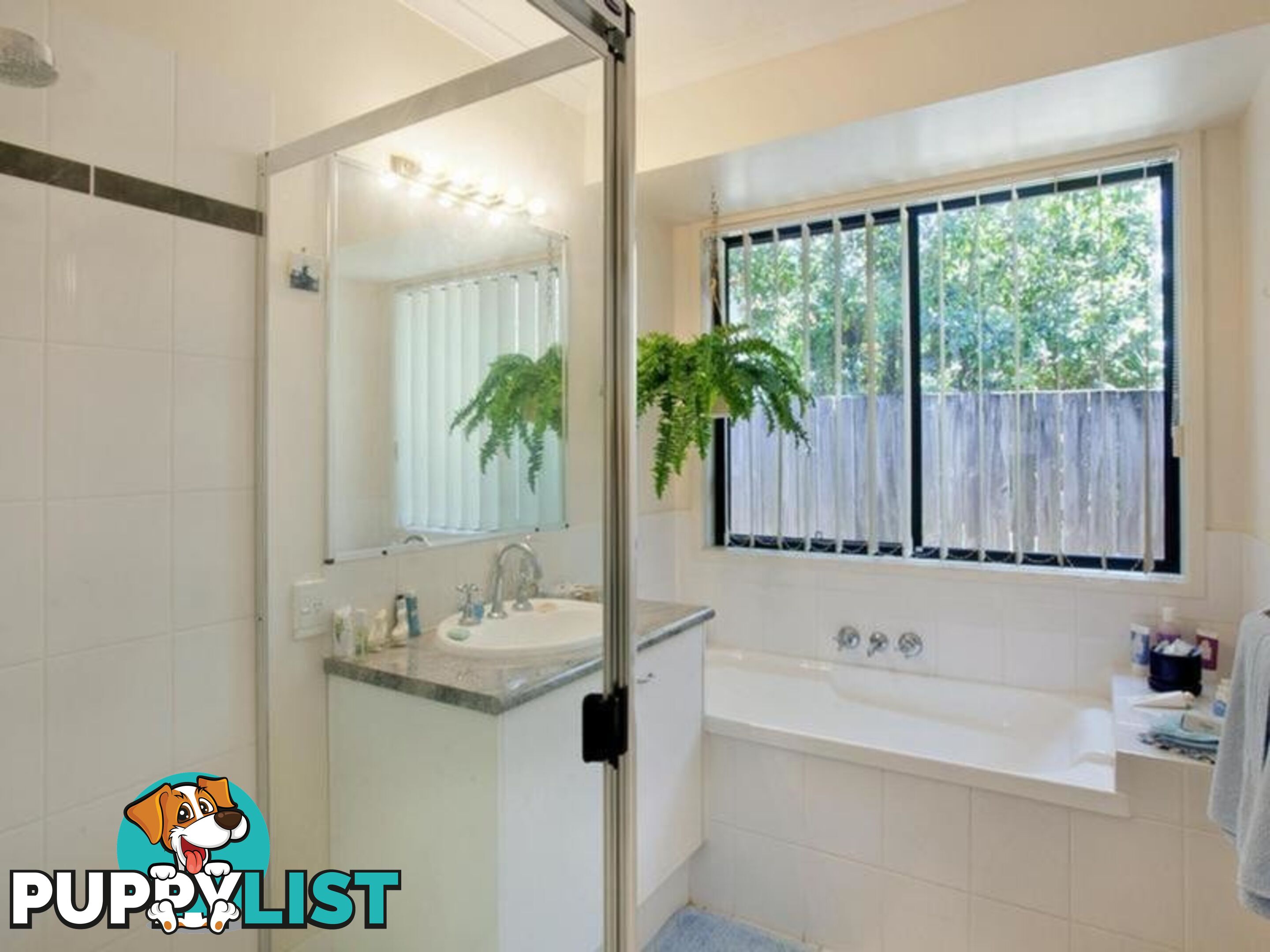 15 Paul Street NOOSA HEADS QLD 4567