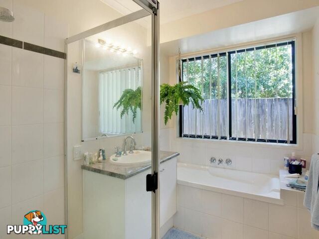 15 Paul Street NOOSA HEADS QLD 4567