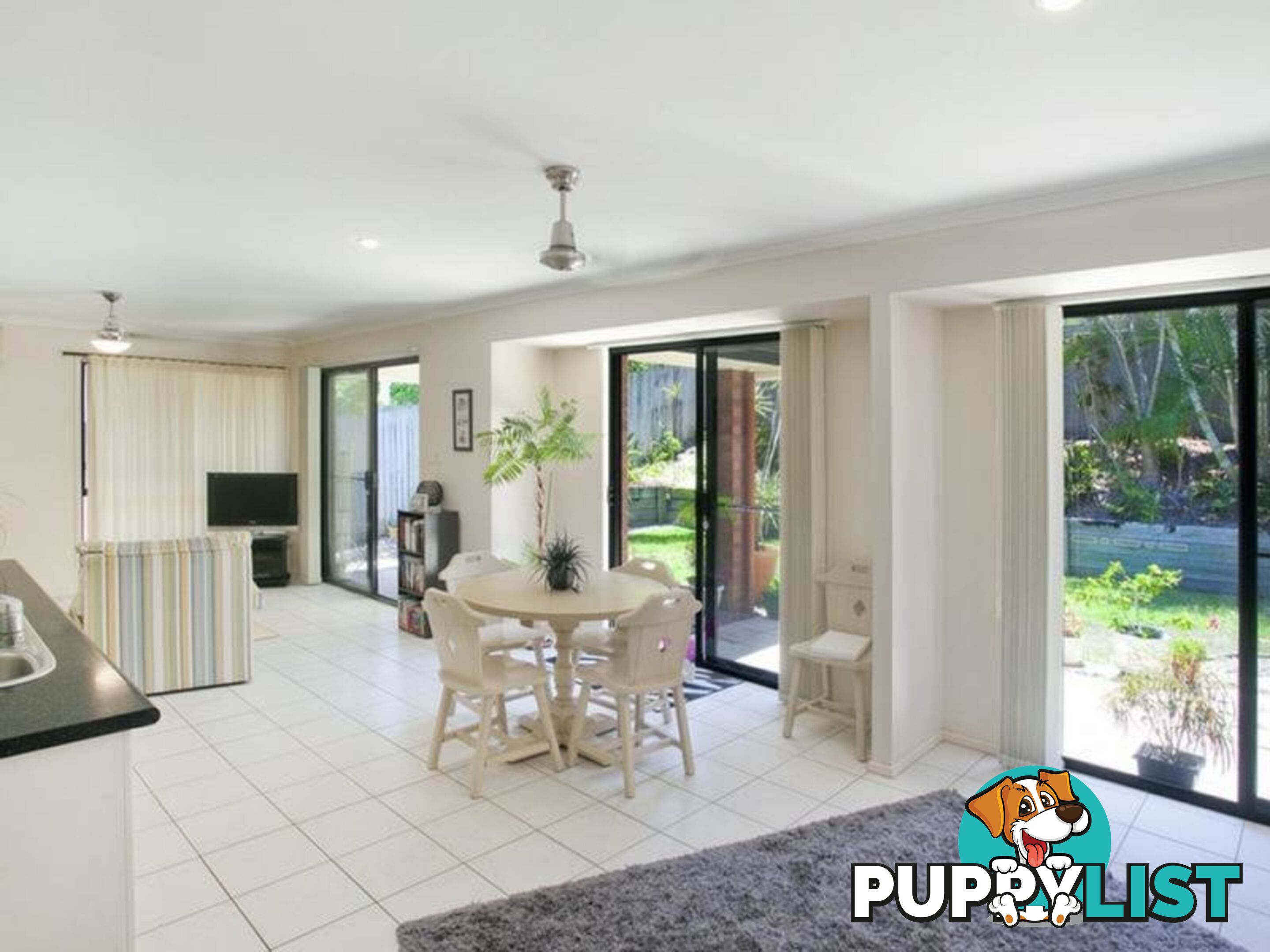 15 Paul Street NOOSA HEADS QLD 4567