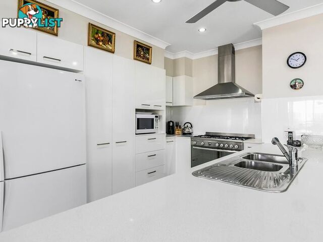 40 Lindfield Circuit NOOSAVILLE QLD 4566