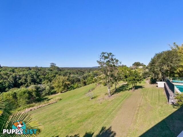 24 She Oak Close BLACK MOUNTAIN QLD 4563