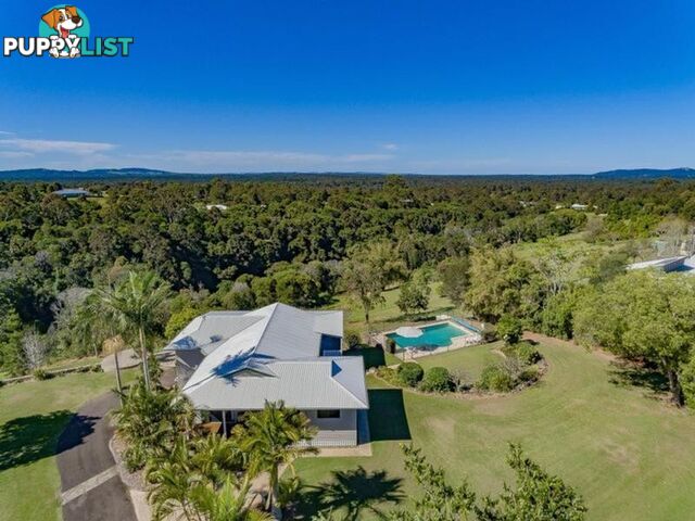 24 She Oak Close BLACK MOUNTAIN QLD 4563