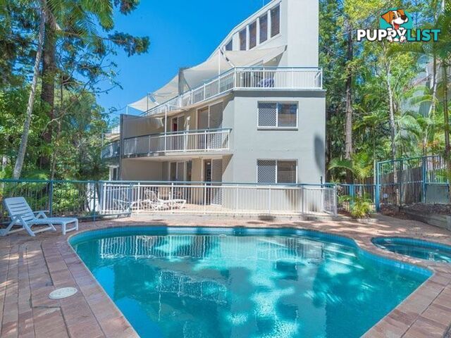 1 34 Edgar Bennett Avenue NOOSA HEADS QLD 4567