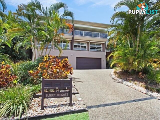 2 14 Nebula Street SUNSHINE BEACH QLD 4567