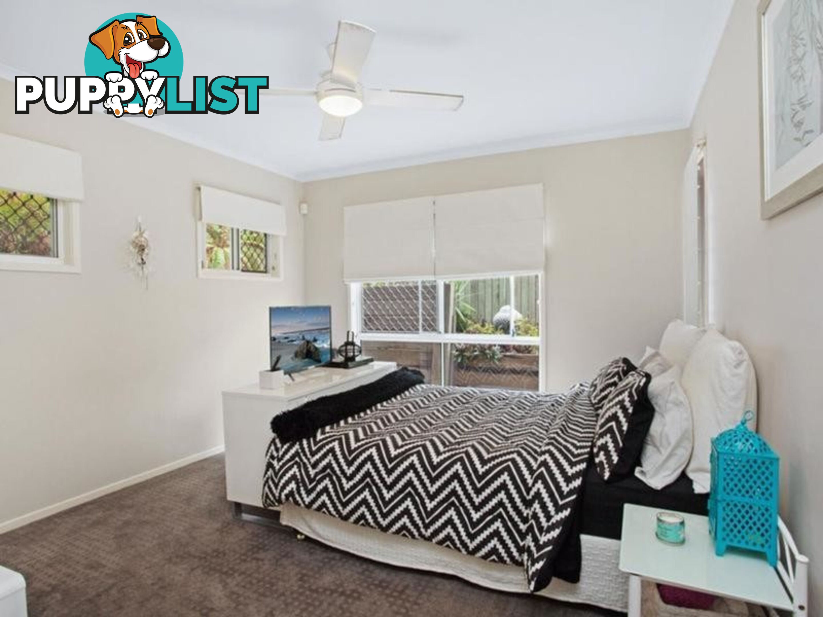 2 14 Nebula Street SUNSHINE BEACH QLD 4567