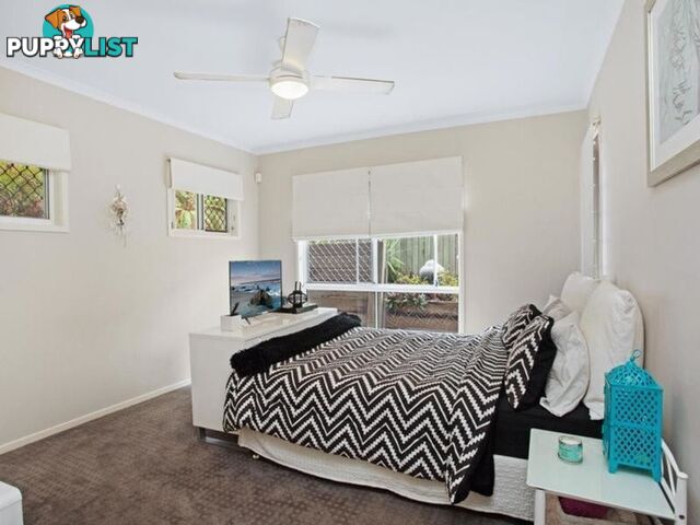 2 14 Nebula Street SUNSHINE BEACH QLD 4567