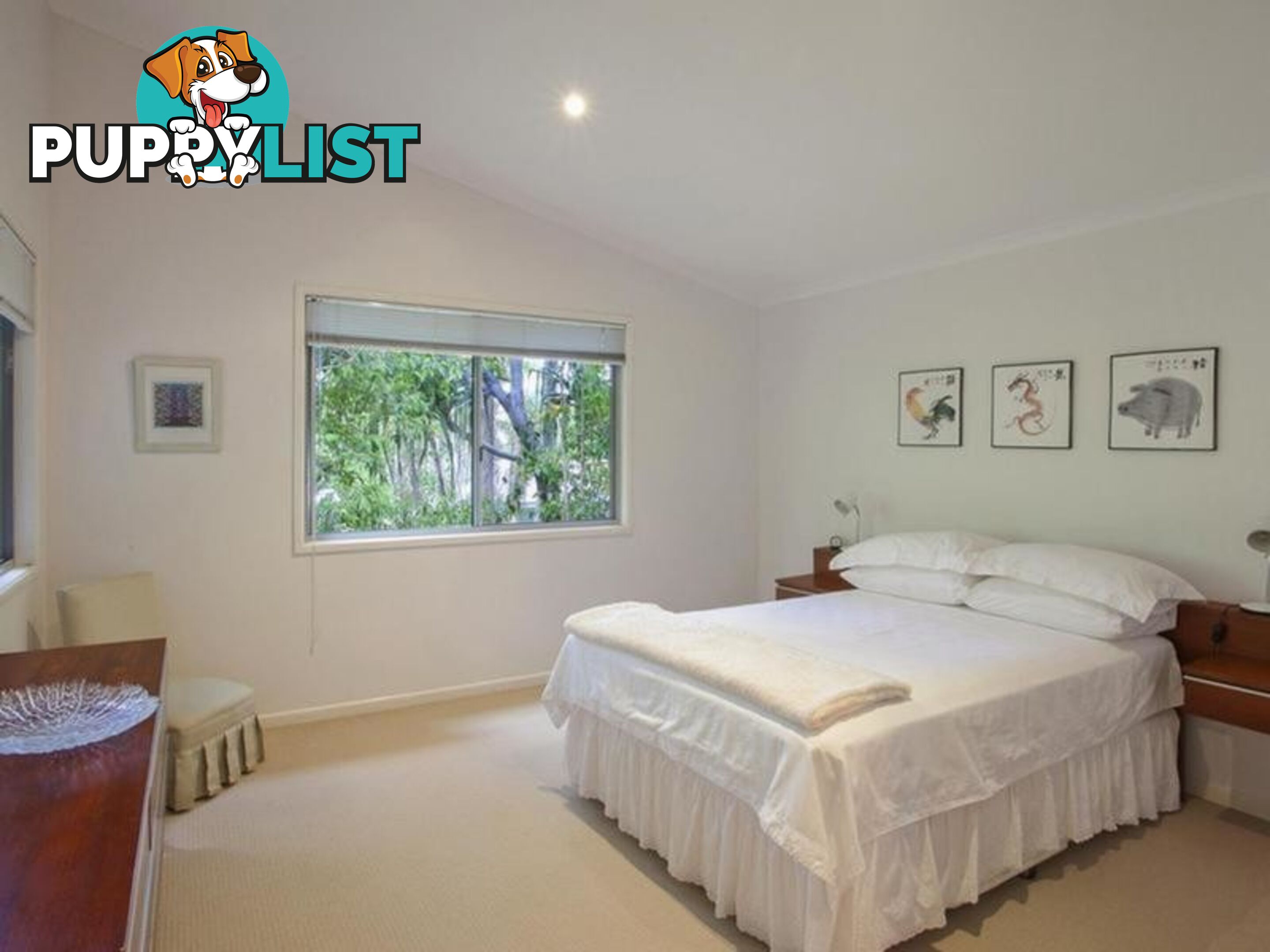 16 Moonare Crescent NOOSA HEADS QLD 4567