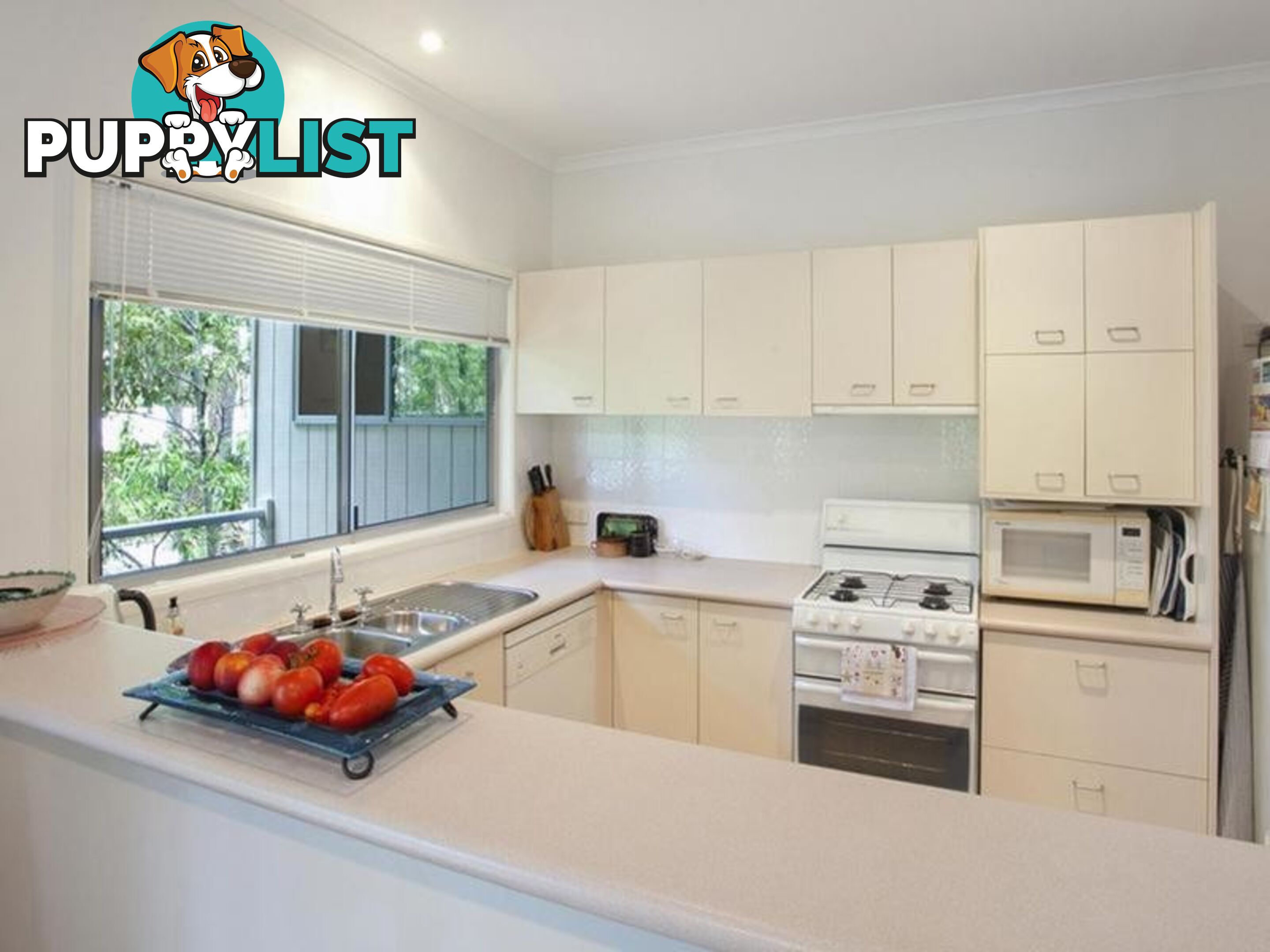 16 Moonare Crescent NOOSA HEADS QLD 4567