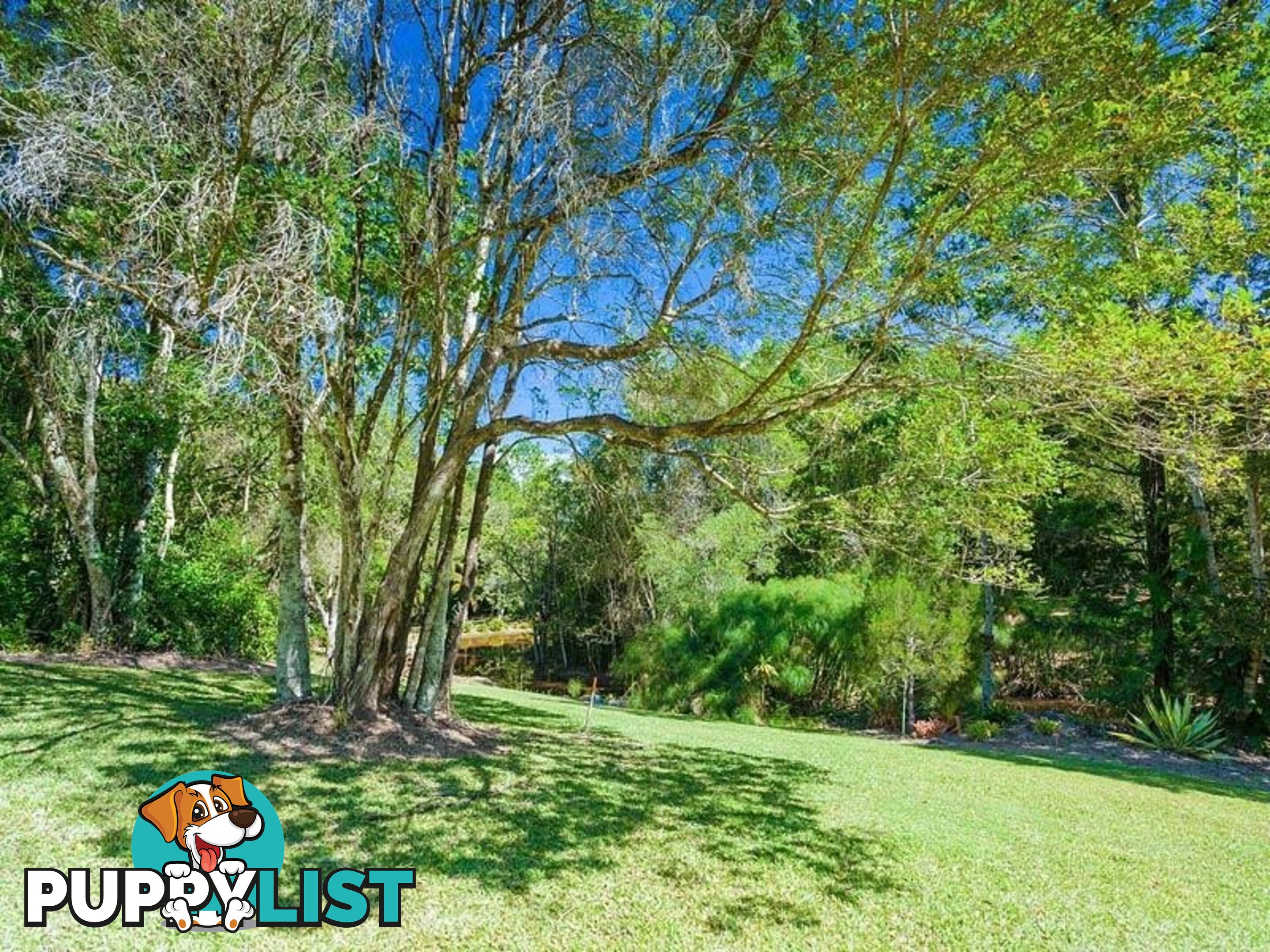 194 Nandroya Road EUMUNDI QLD 4562