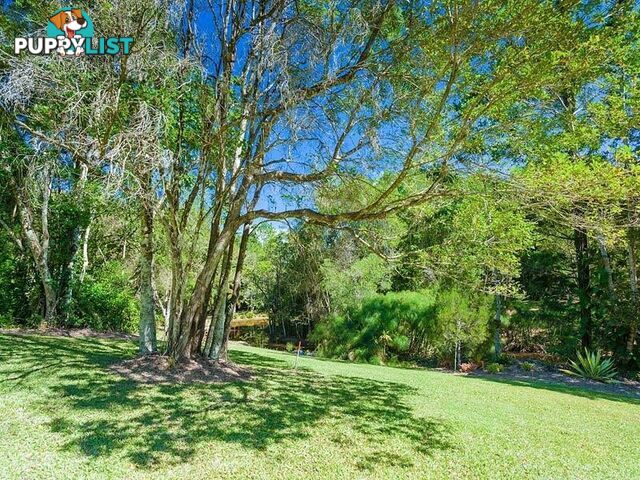 194 Nandroya Road EUMUNDI QLD 4562