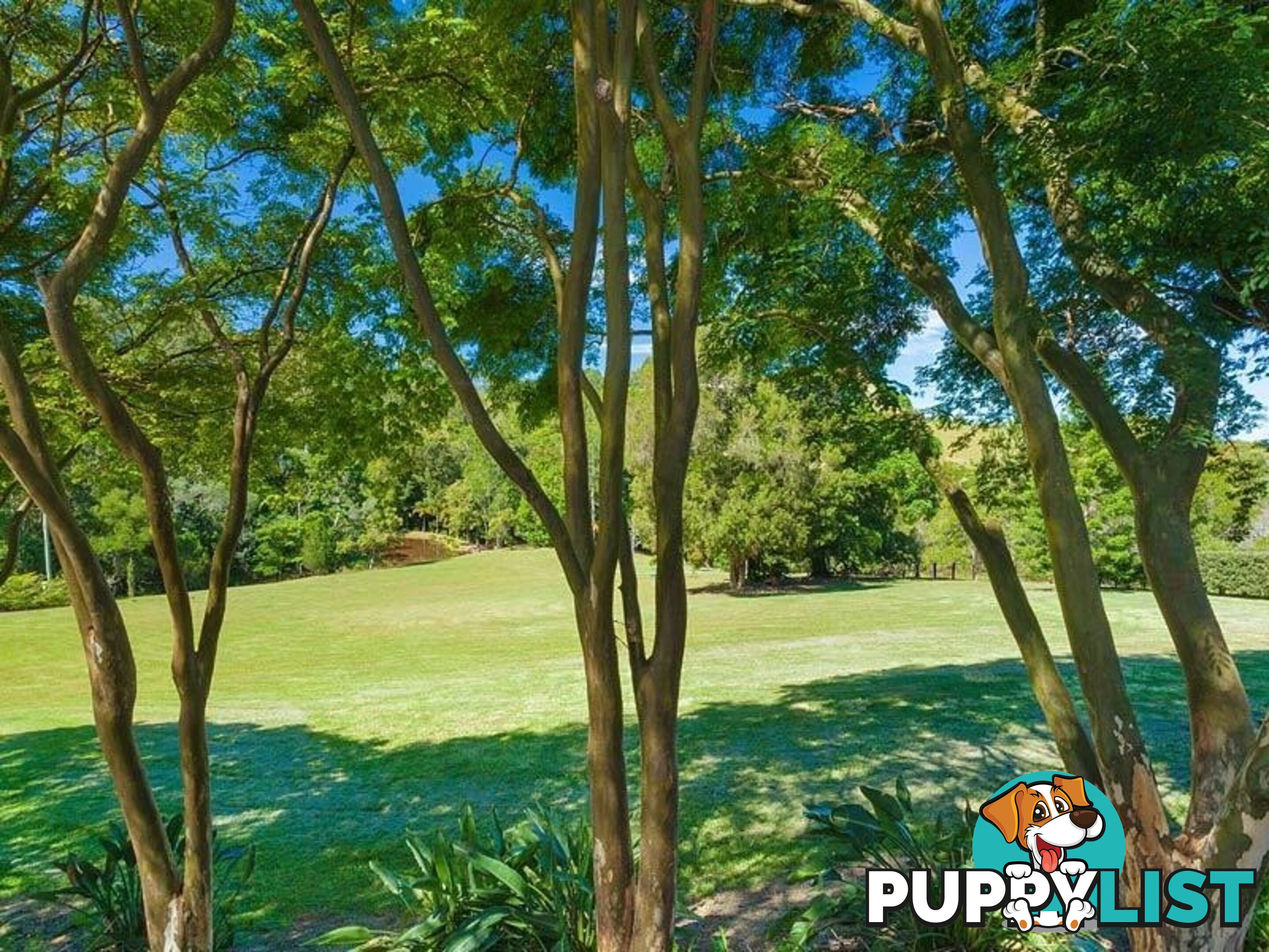 194 Nandroya Road EUMUNDI QLD 4562