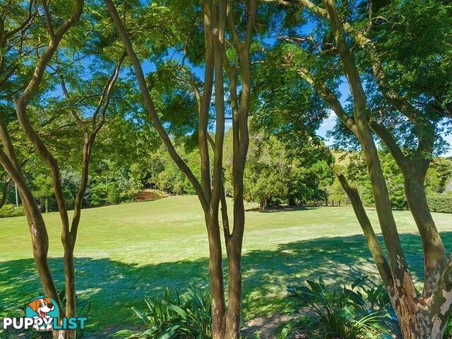 194 Nandroya Road EUMUNDI QLD 4562