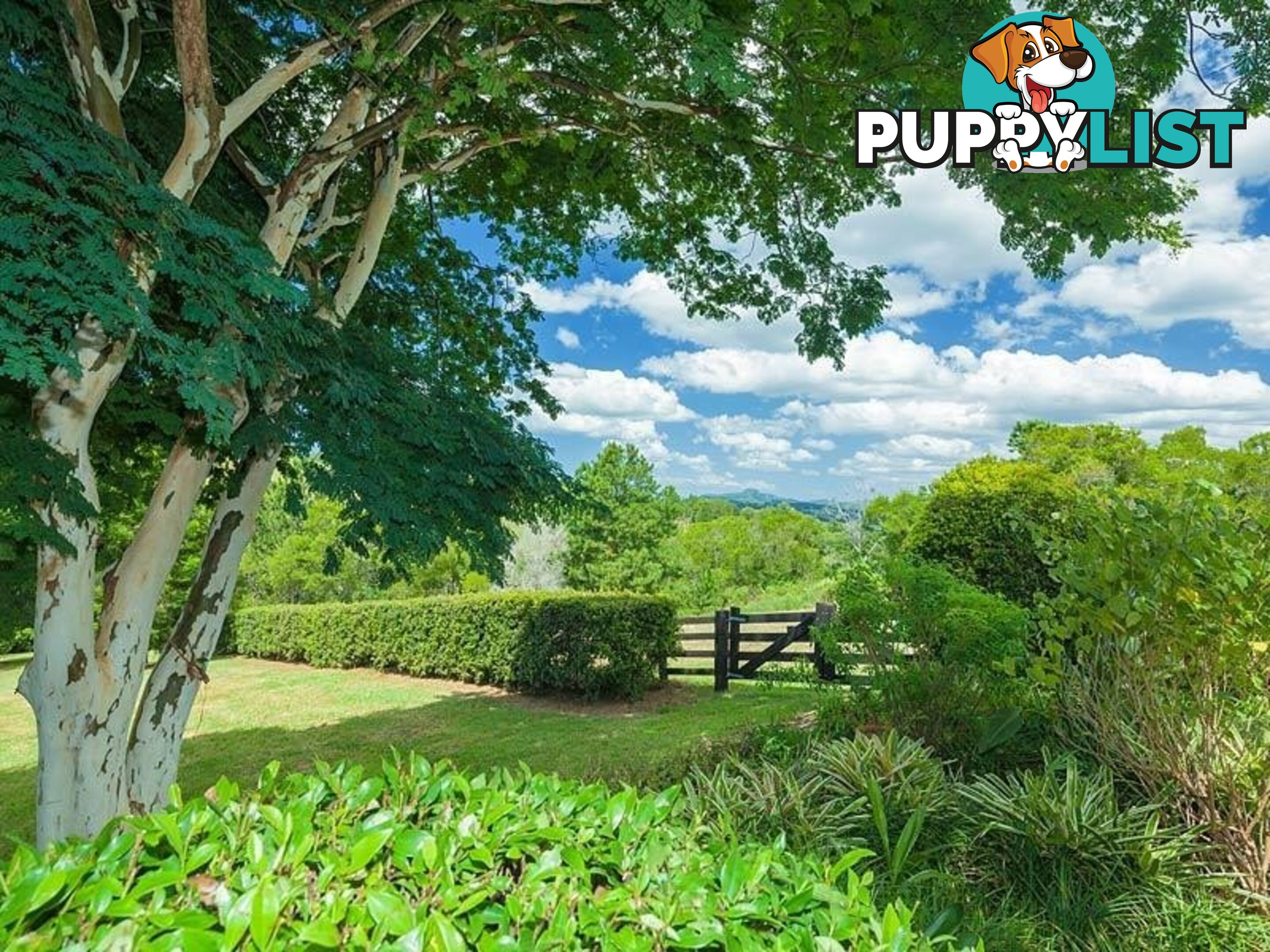 194 Nandroya Road EUMUNDI QLD 4562