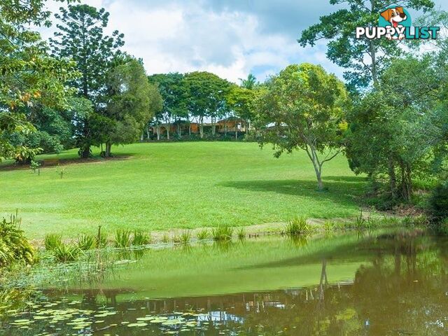 194 Nandroya Road EUMUNDI QLD 4562