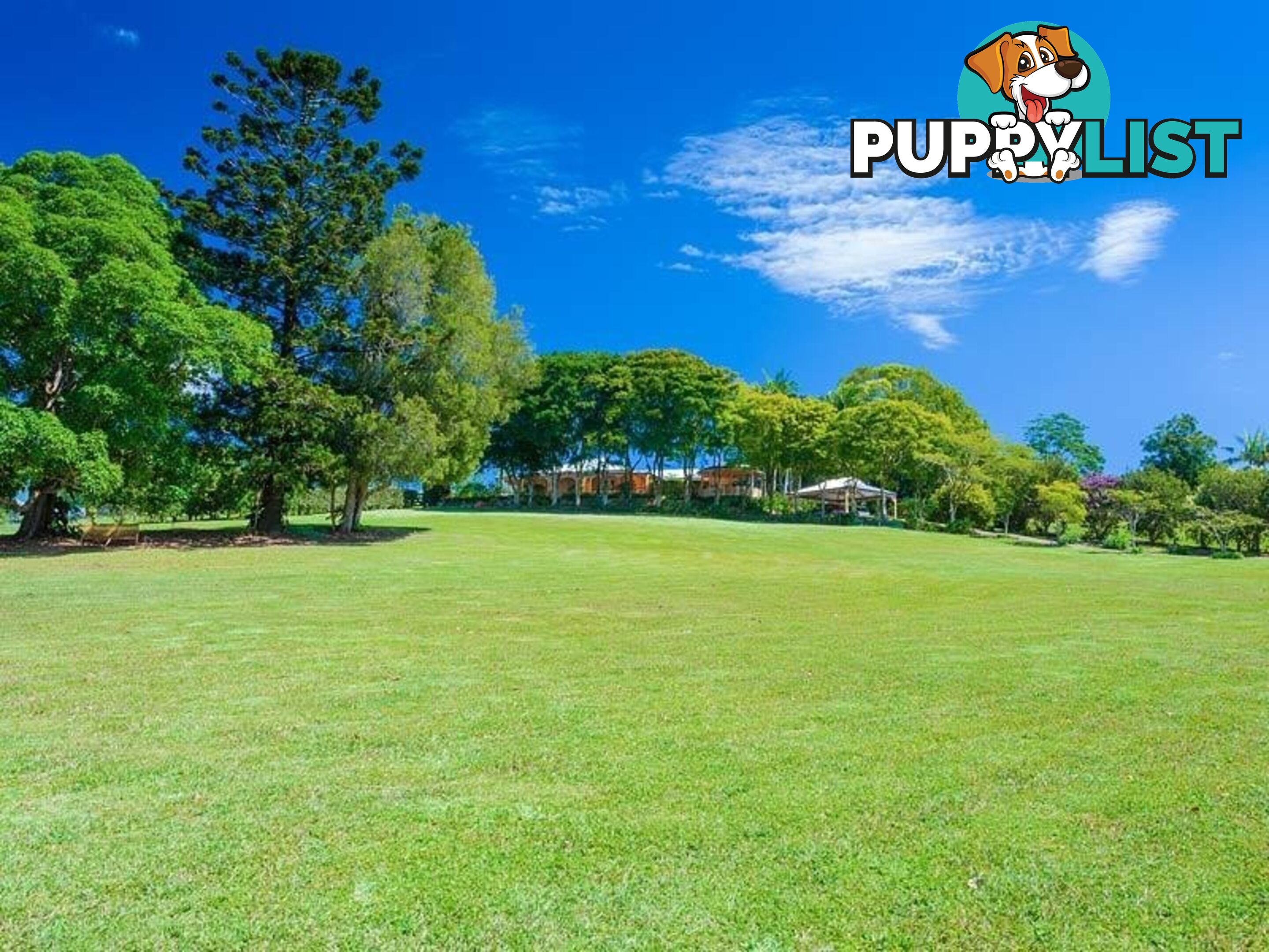 194 Nandroya Road EUMUNDI QLD 4562