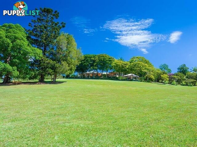 194 Nandroya Road EUMUNDI QLD 4562