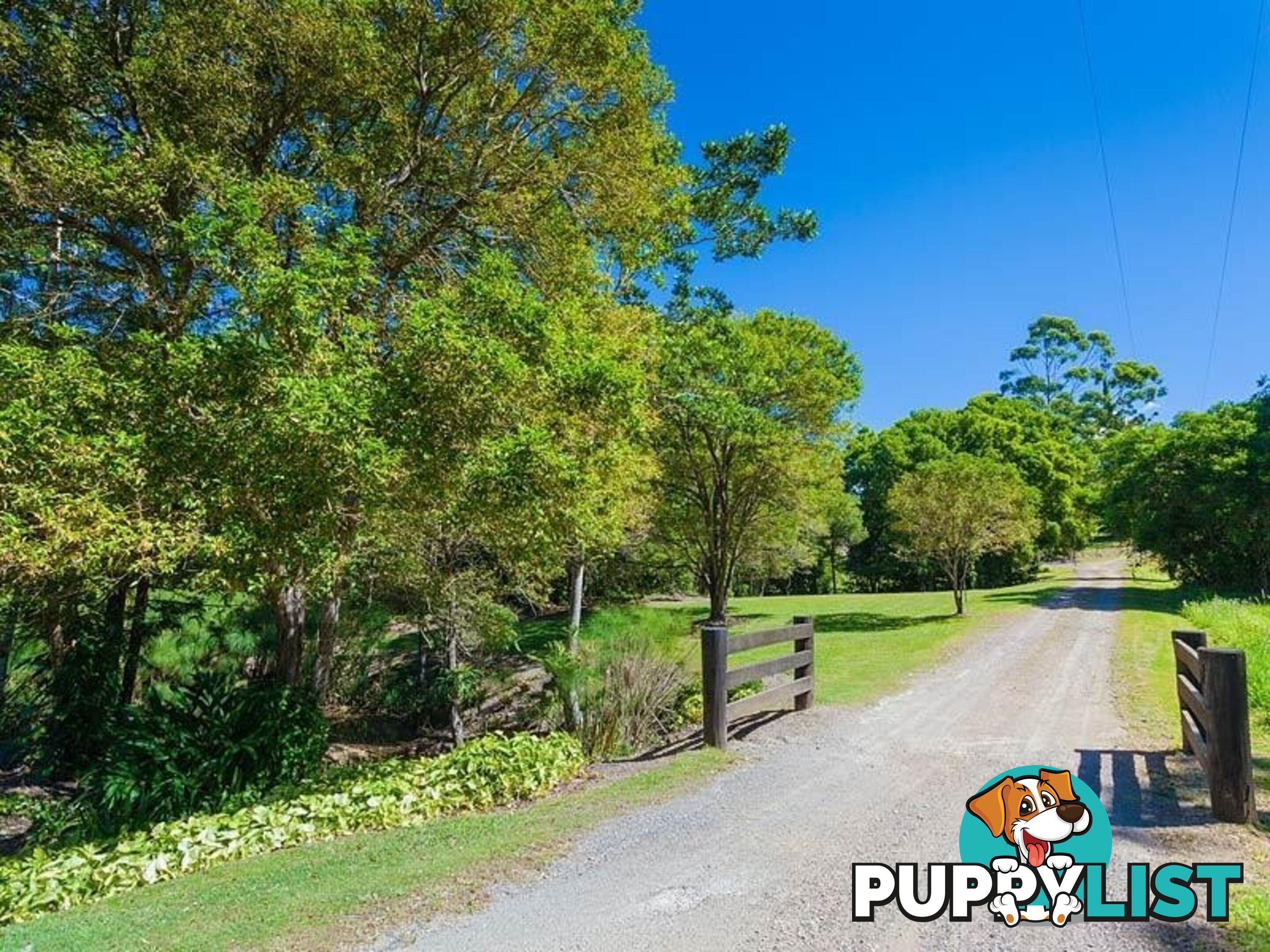 194 Nandroya Road EUMUNDI QLD 4562