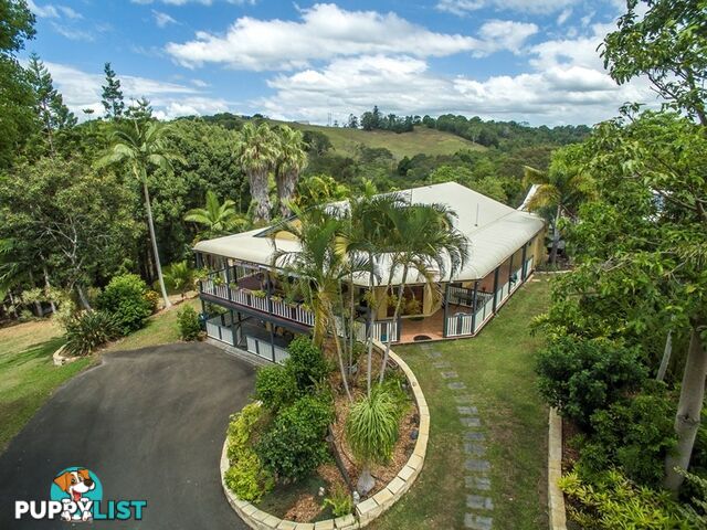 40 Belleden Place Cooroy QLD 4563