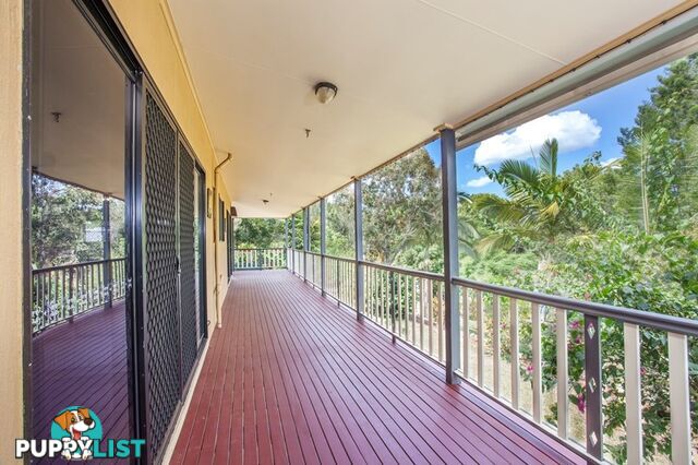 40 Belleden Place Cooroy QLD 4563