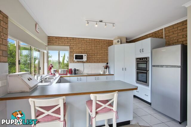 7 23 Wyandra Street Noosa Heads QLD 4567