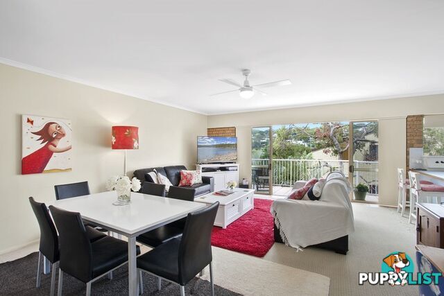 7 23 Wyandra Street Noosa Heads QLD 4567