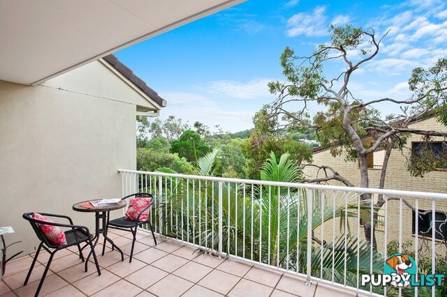 7 23 Wyandra Street Noosa Heads QLD 4567