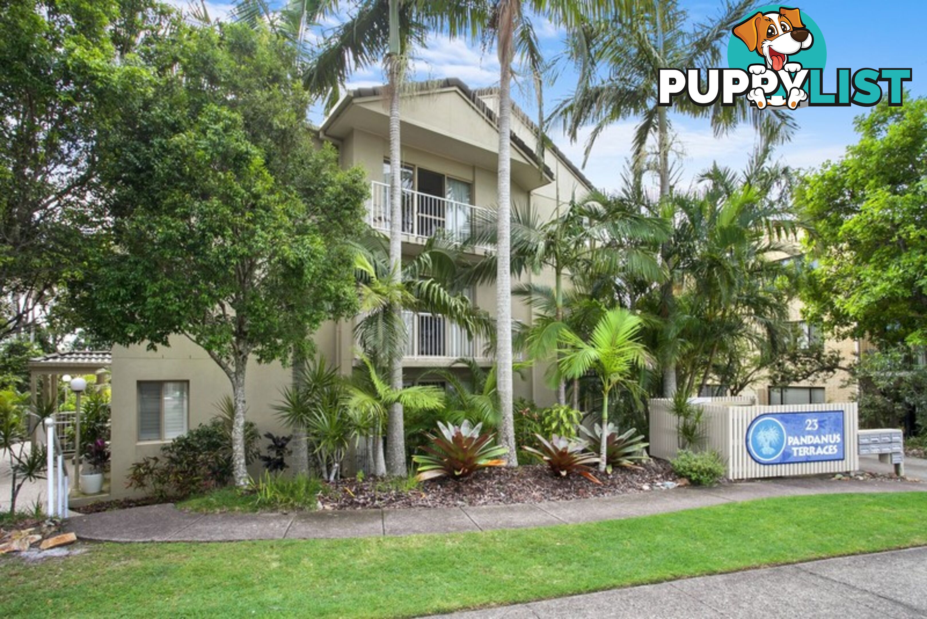 7 23 Wyandra Street Noosa Heads QLD 4567