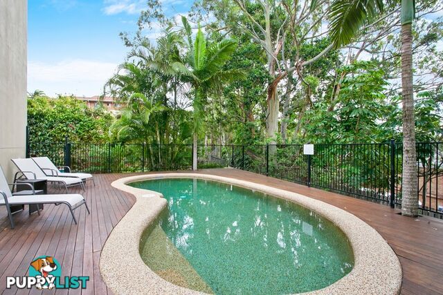 7 23 Wyandra Street Noosa Heads QLD 4567