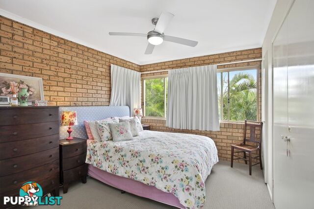 7 23 Wyandra Street Noosa Heads QLD 4567