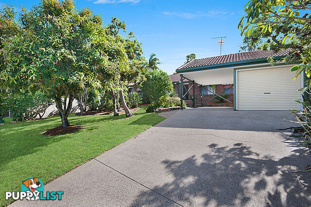 40 Tarina Street NOOSA HEADS QLD 4567