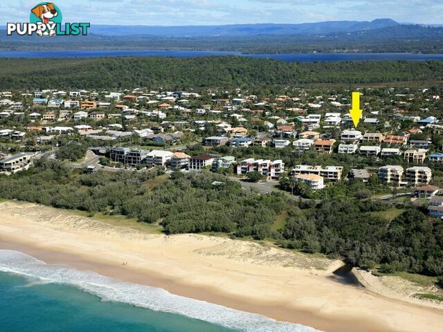 1 15 Ventura Street SUNRISE BEACH QLD 4567