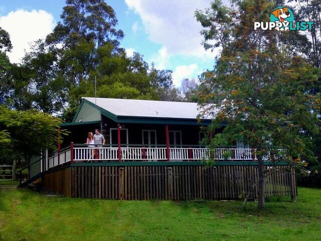 292 Pomona Kin Kin Road PINBARREN QLD 4568