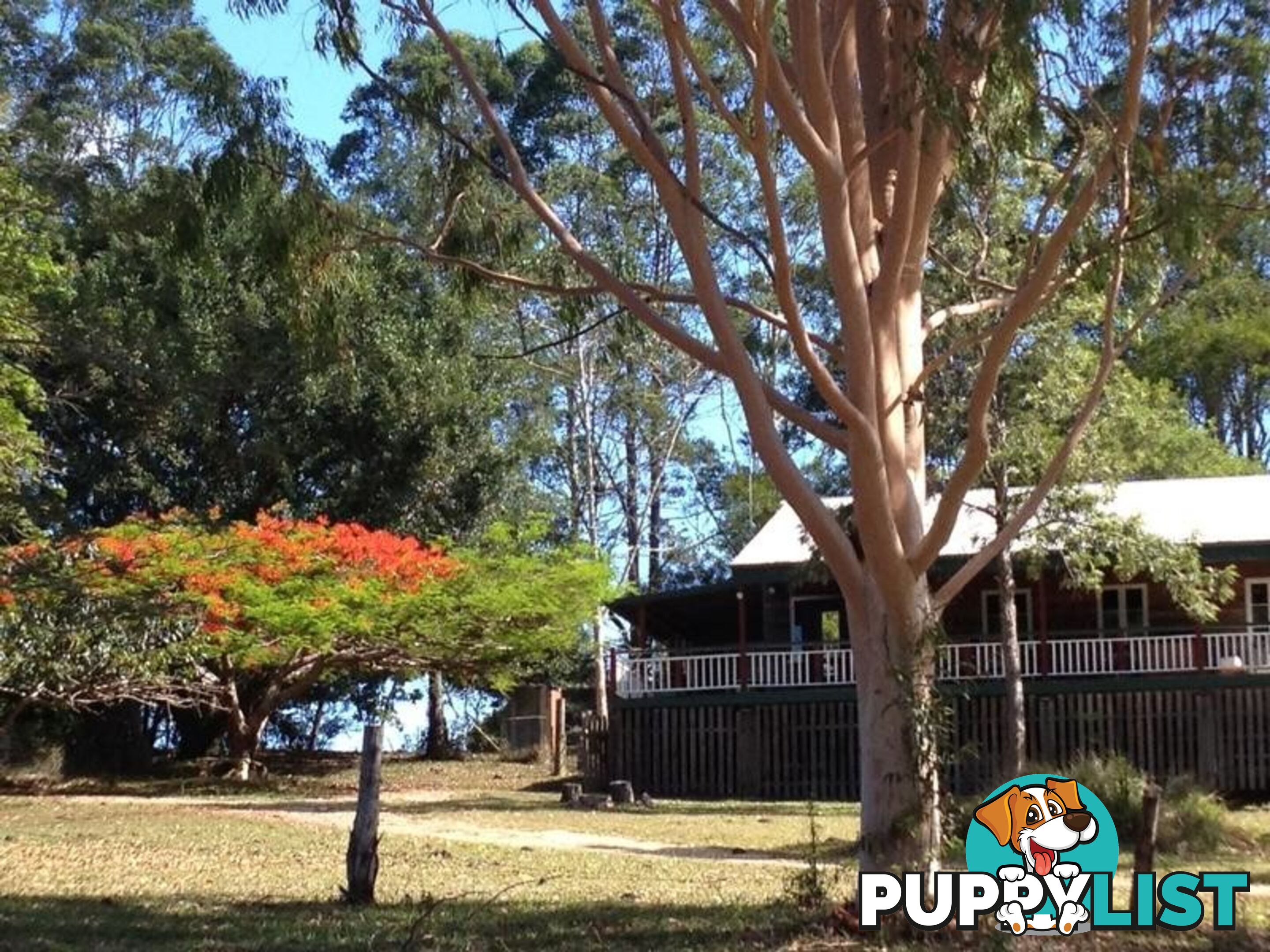 292 Pomona Kin Kin Road PINBARREN QLD 4568