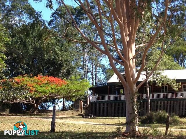 292 Pomona Kin Kin Road PINBARREN QLD 4568