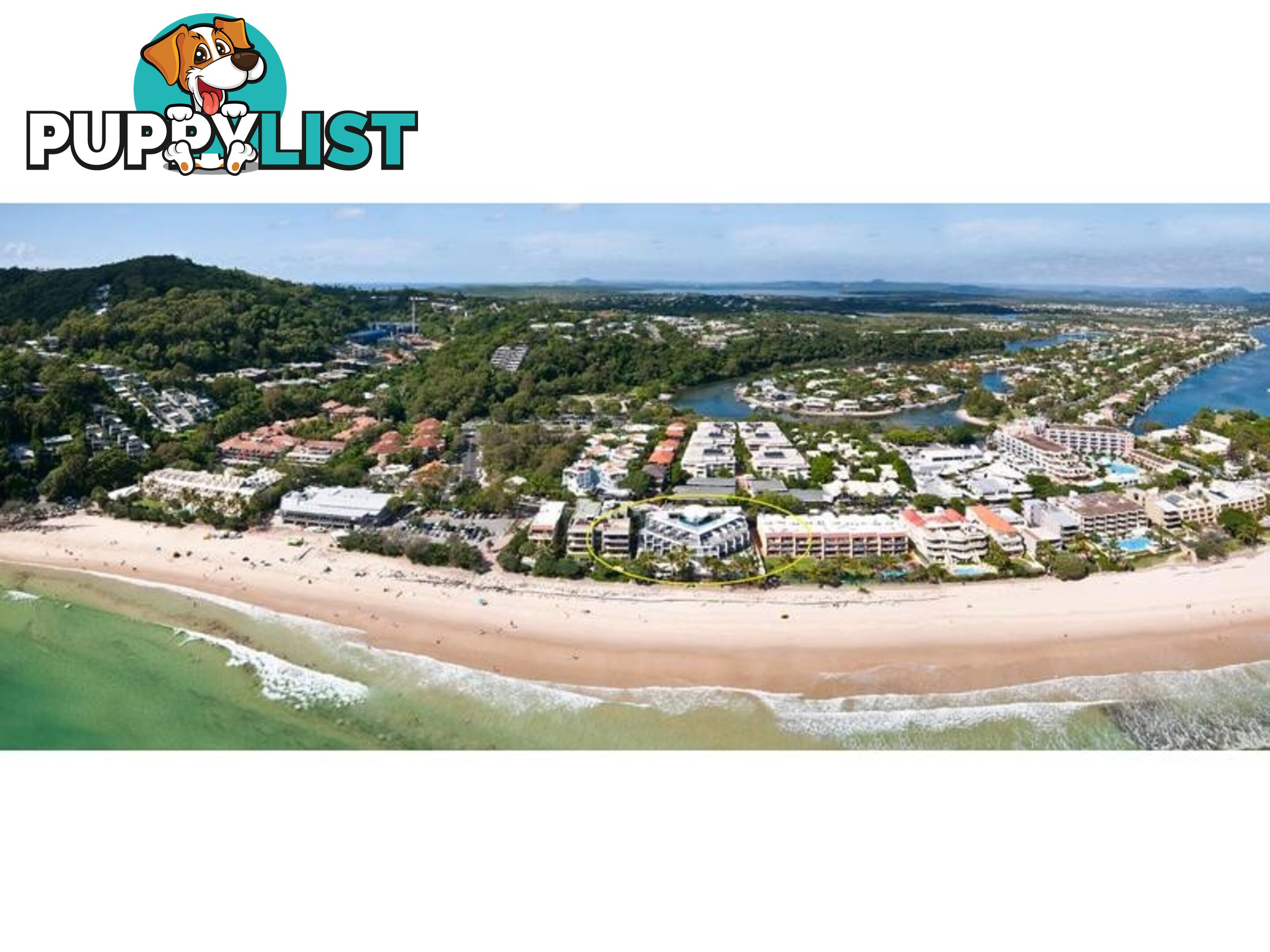 11 49 Hastings Street NOOSA HEADS QLD 4567