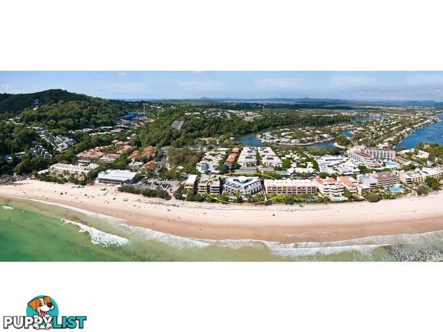 11 49 Hastings Street NOOSA HEADS QLD 4567