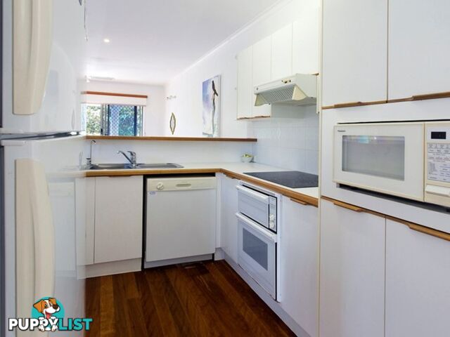 1 11 Park Crescent SUNSHINE BEACH QLD 4567