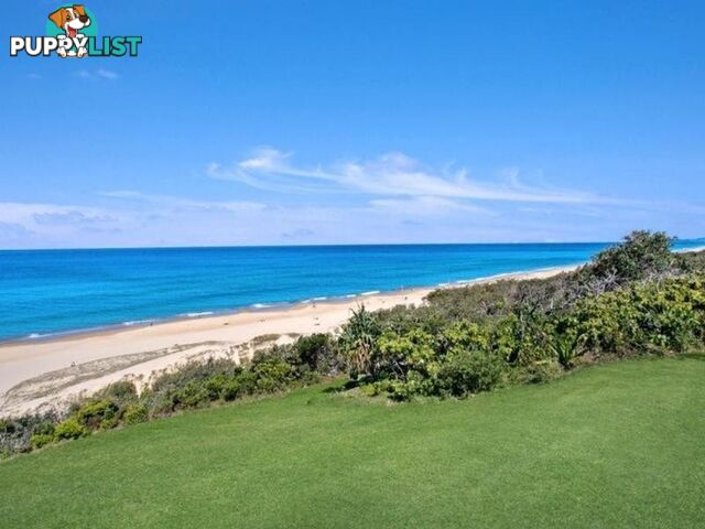 2 41 Tingira Crescent SUNRISE BEACH QLD 4567