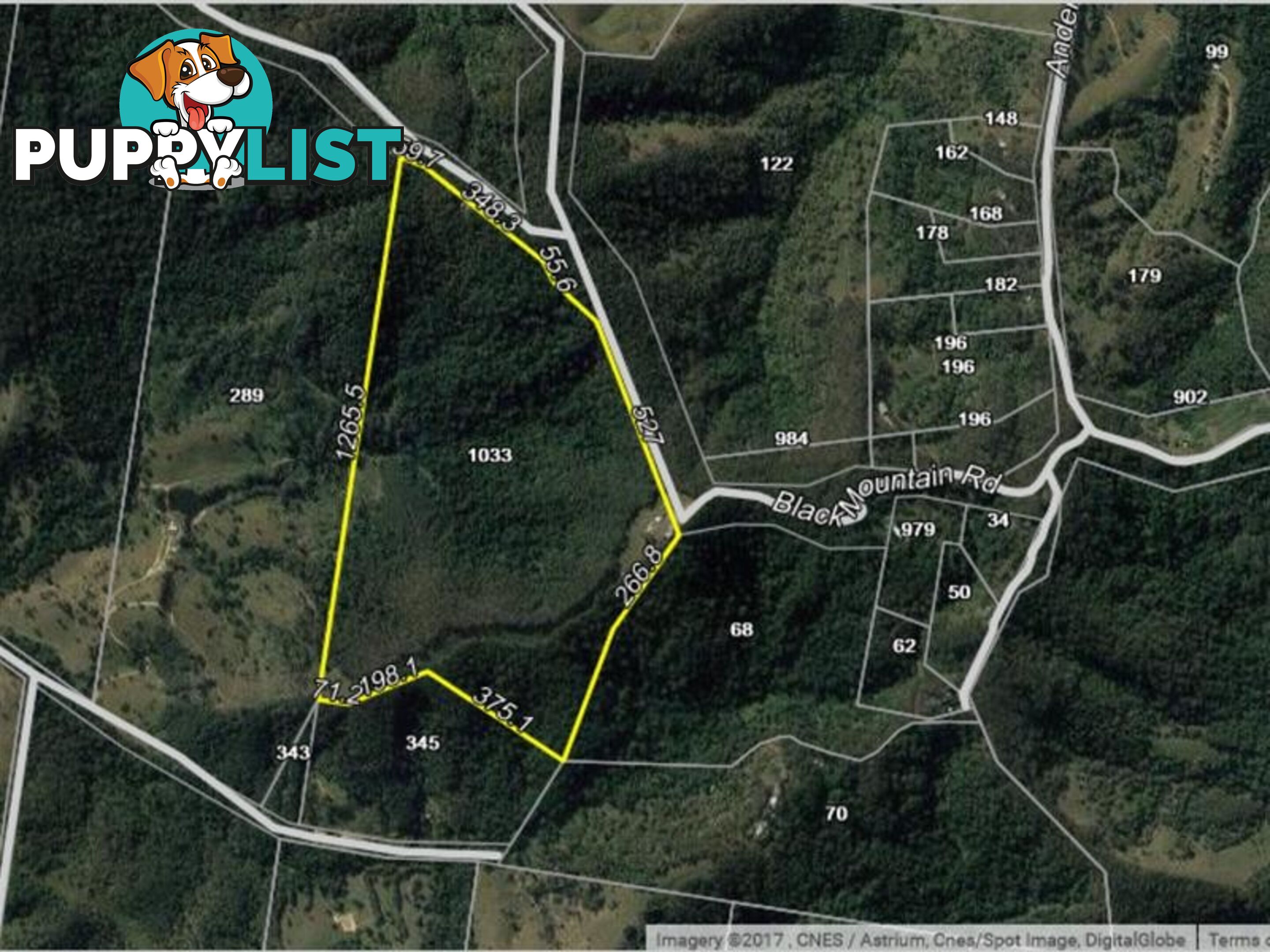 1033 Black Mountain Road Federal QLD 4568
