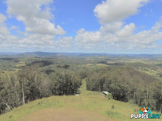 1033 Black Mountain Road Federal QLD 4568
