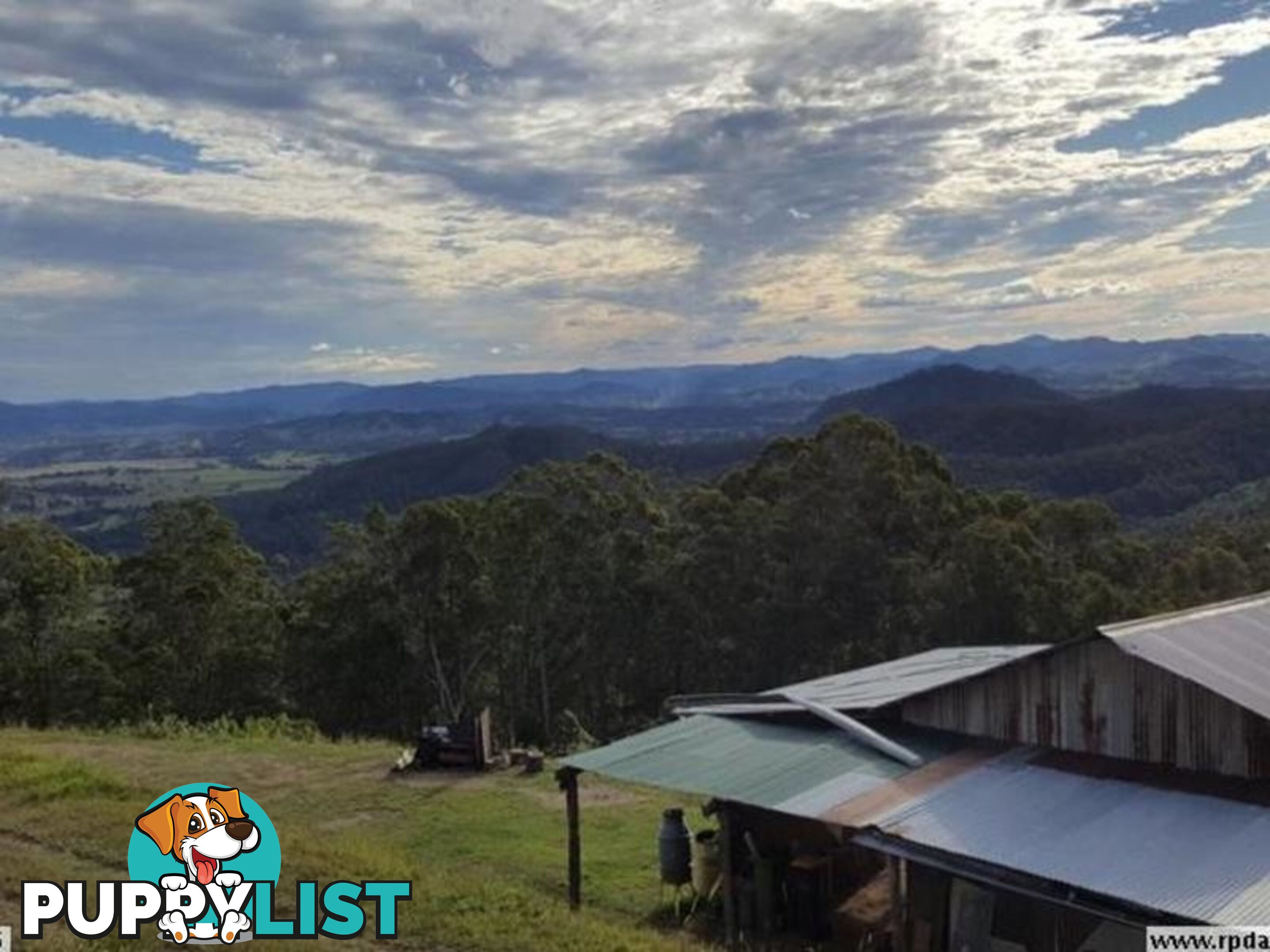 1033 Black Mountain Road Federal QLD 4568