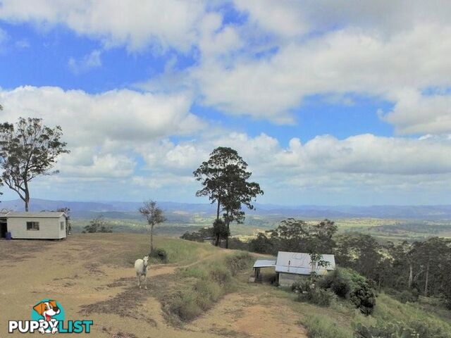 1033 Black Mountain Road Federal QLD 4568