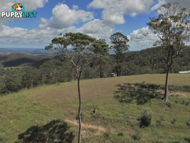 1033 Black Mountain Road Federal QLD 4568